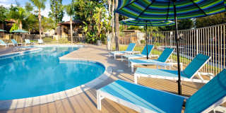 Citrus Place Gallery 43