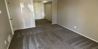 Southdale Square Gallery 11