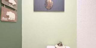 1723 Cypress Trace Drive Gallery 53