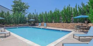 Ironwood at Palmer Park Apartments Gallery 18