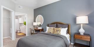 Kinsley Forest Gallery 6