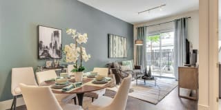 Preston Hollow Village Gallery 8
