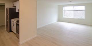 Newly Renovated 2 Bedroom Apartment Gallery 26