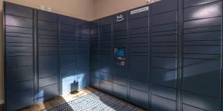 Lexington Palms at the Forum Gallery 39