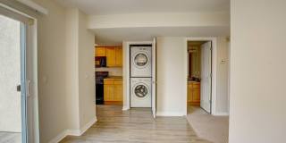 Bright & Beautiful 2-Level Condo in NoBo, available June 5th Gallery 15