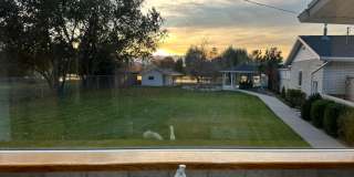 3bd 3bth Home-1 Acre on the Water! Gallery 5