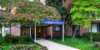 Cavalier Club Gallery 16