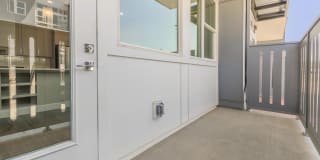 Proximo at Pena Station Gallery 115