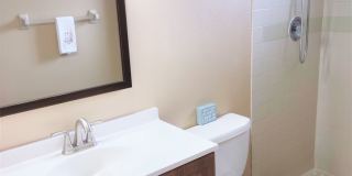 Cute Annual Single Family Home – Near Shamrock Park and South Venice Ferry and Boat launch! Gallery 30