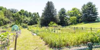 Waterford Village Gallery 39