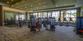 The Strand Gallery 13