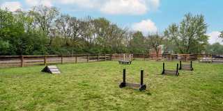 Steeplechase Gallery 50