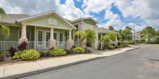 Springs at Palma Sola Gallery 27