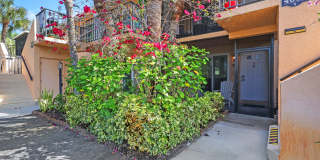 4001 Ice Castle Way #5 - 1 Gallery 1