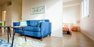 D Street Village Gallery 4