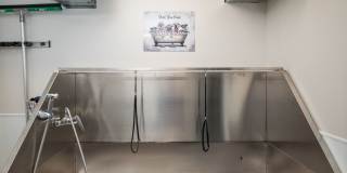 The Residences of Auburn Hills Gallery 17