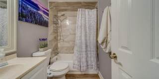 2646 ALBION STREET Gallery 33