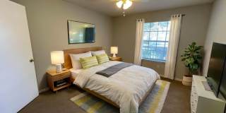 TW1624 Gallery 11
