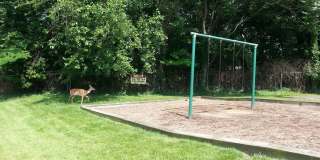 2624 REDCOAT Drive unit: 159 Gallery 14