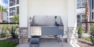 Alta Citron Gallery 89