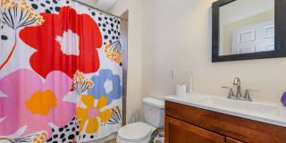 Nicely Priced 4-bed, 2-bath Mission Hill Apartment Gallery 19
