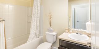 Trail Ridge at Woodland Park Trail Ridge at Woodland Park Gallery 9