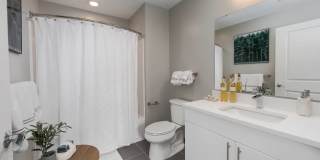 Washington Mill 240 Gallery 51