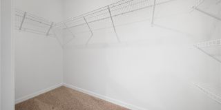 4302 BUTTERSCOTCH Circle Gallery 9