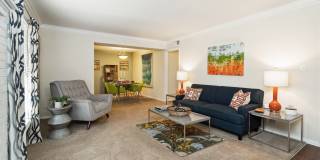 Lake Johnson Mews Gallery 31