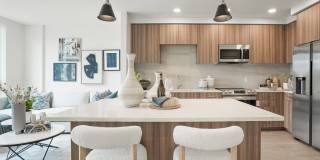 Maxwell at Bascom Maxwell at Bascom Gallery 14