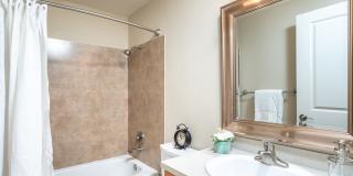 Cambridge Gallery 11