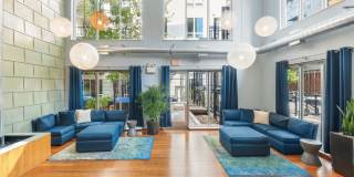 Blue and Lime Gallery 19