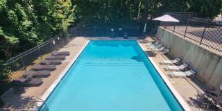 3615 DEVILWOOD Court Gallery 42