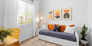 Canopy at Sundance Gallery 42