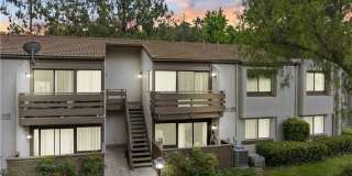 22886 Hilton Head Drive Gallery 1