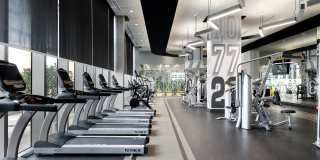 Motion at Dadeland Gallery 22