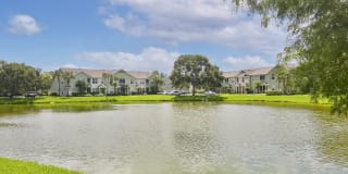 Springs at Palma Sola Gallery 37