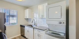 Rise at the Palms Gallery 41