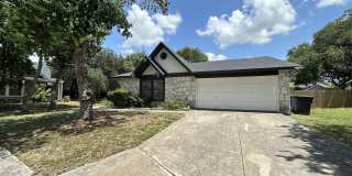 3430 FOREST FROST Gallery 2