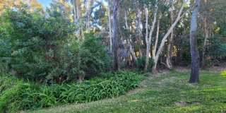 820 LANTERN WAY Gallery 35