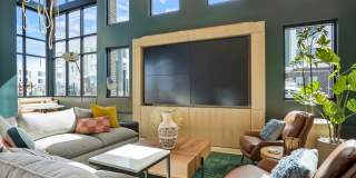Edera Gallery 19