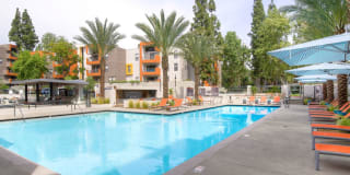 Ava Studio City Gallery 22