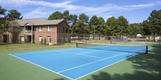 Collins Crossing Gallery 1