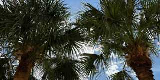 9411 Osprey Branch Trail#9 Gallery 43