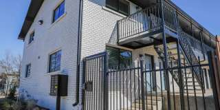 Irving at Bishop Ridge Gallery 3