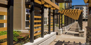 West Parc at Bethany Village Gallery 11