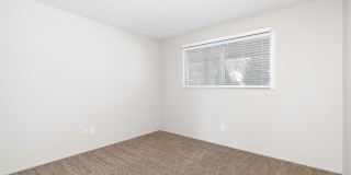 The Maples Gallery 14