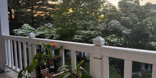 12201 ST PETER Court 12201 ST PETER Court Gallery 14