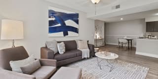 10X Port Royale 10X Port Royale Gallery 12