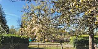 Charming 4BR Home with Huge Yard - W/D and Garage Gallery 10